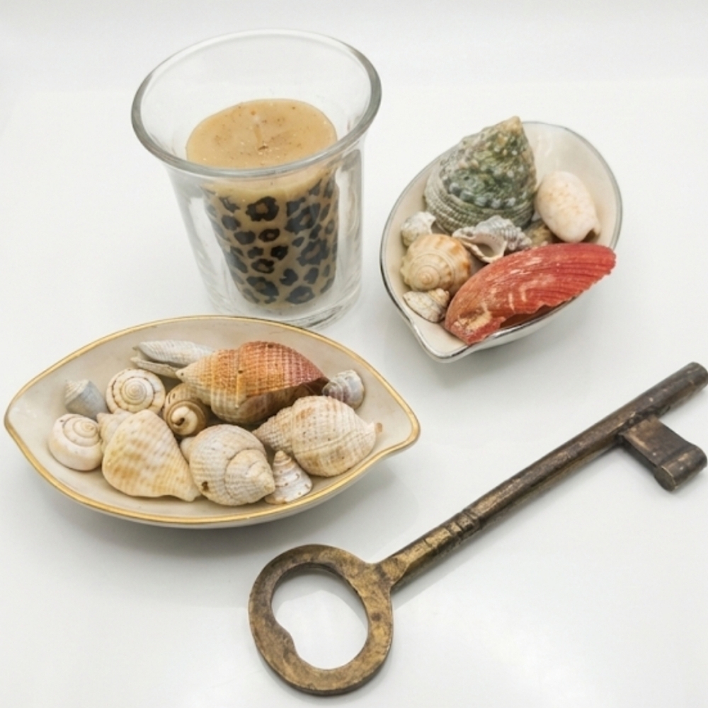 Leopard Print Candle Holder with Seashell Accents